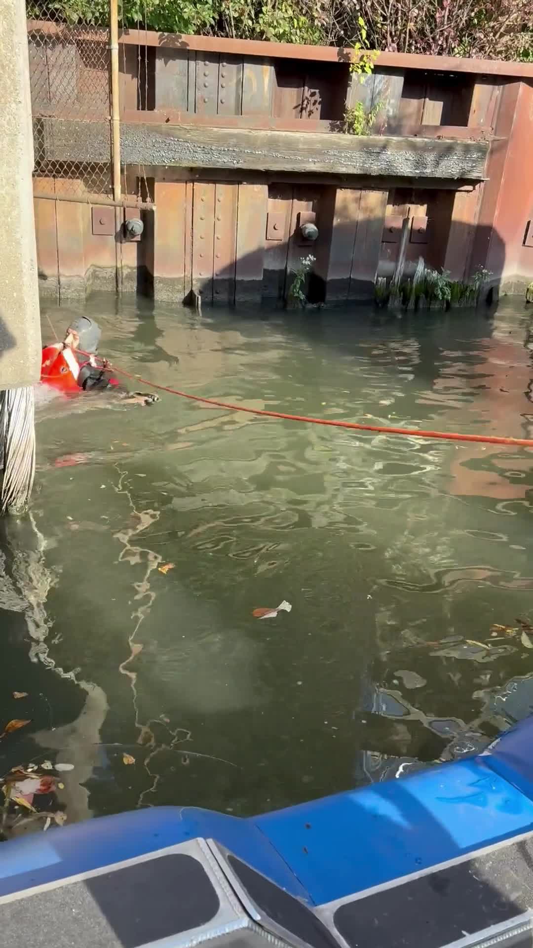 Chicago police rescue dog stranded in Chicago River drainpipe